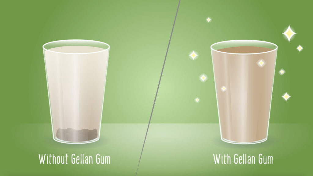 With-Without_Gellan Gum
